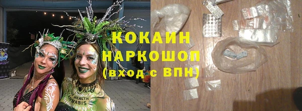 бошки Туринск