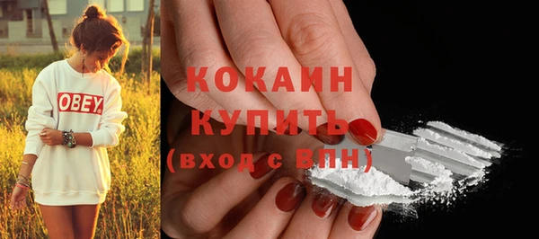 бошки Туринск