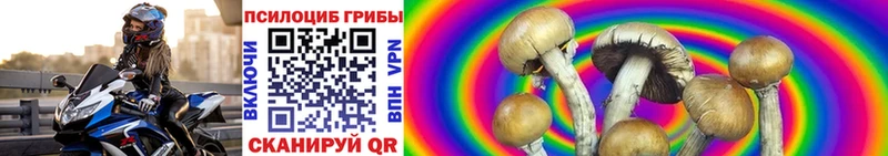 Псилоцибиновые грибы MAGIC MUSHROOMS mega tor Козельск где можно купить